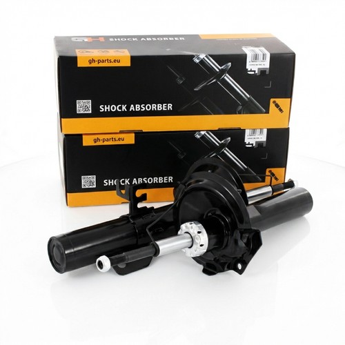 Stoßdämpfer gasdruck - 2x,